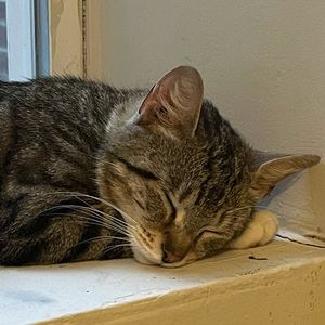 Meet your Posher, Alx